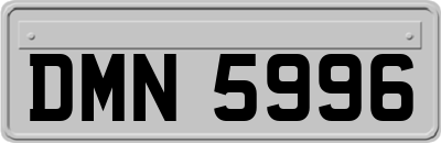DMN5996
