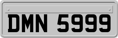 DMN5999