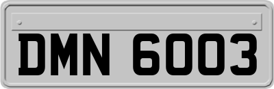 DMN6003