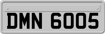 DMN6005
