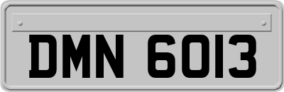 DMN6013