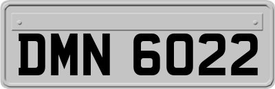 DMN6022