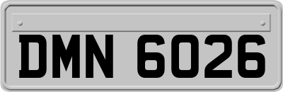 DMN6026