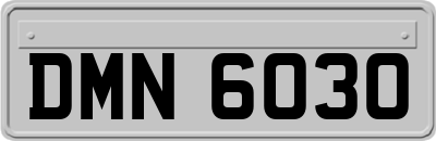 DMN6030