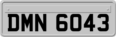 DMN6043