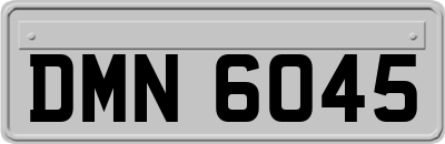 DMN6045