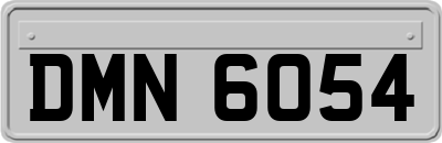 DMN6054