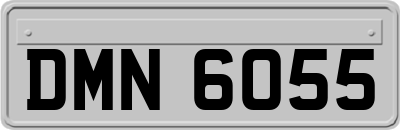 DMN6055