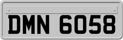 DMN6058