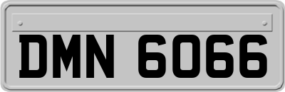 DMN6066