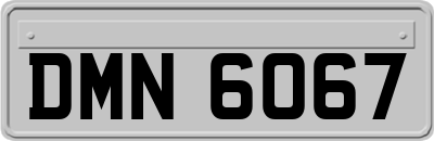 DMN6067