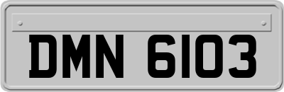 DMN6103
