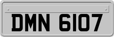 DMN6107