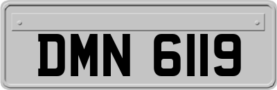 DMN6119