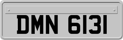 DMN6131