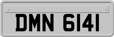 DMN6141