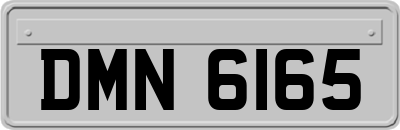 DMN6165