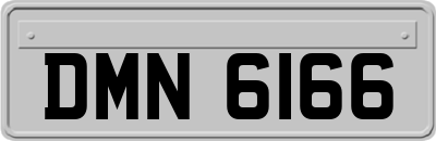 DMN6166