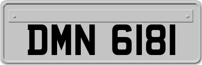 DMN6181