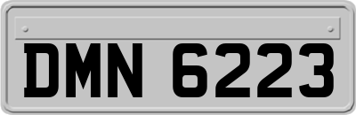 DMN6223