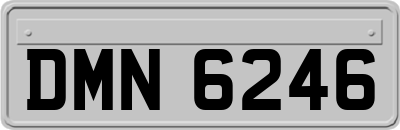 DMN6246