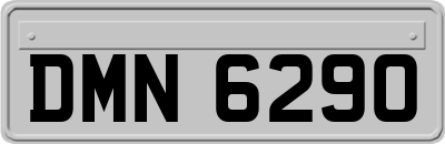 DMN6290