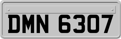 DMN6307
