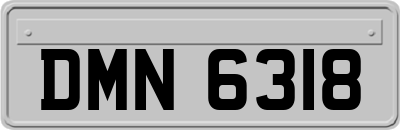 DMN6318