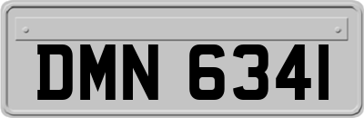 DMN6341