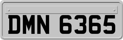 DMN6365