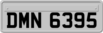 DMN6395