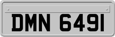 DMN6491