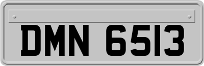 DMN6513