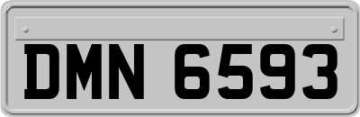 DMN6593