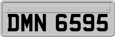 DMN6595