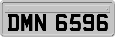 DMN6596