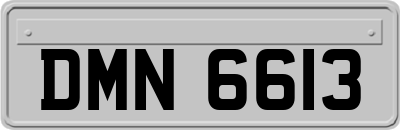 DMN6613