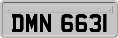 DMN6631