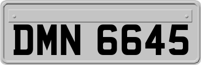 DMN6645