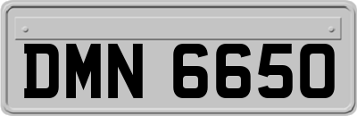 DMN6650