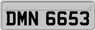 DMN6653