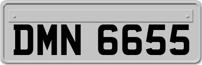DMN6655