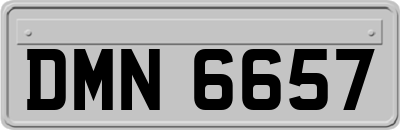 DMN6657