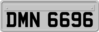 DMN6696