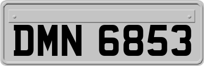 DMN6853