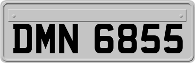 DMN6855
