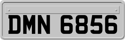 DMN6856