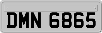 DMN6865