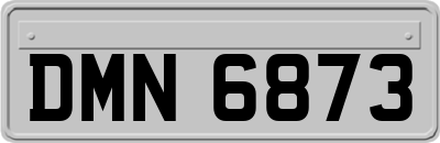 DMN6873