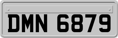 DMN6879